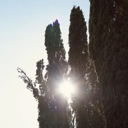 Villa Casa Ra - Architect Edition