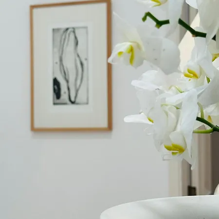 Casa Ra - Architect Edition