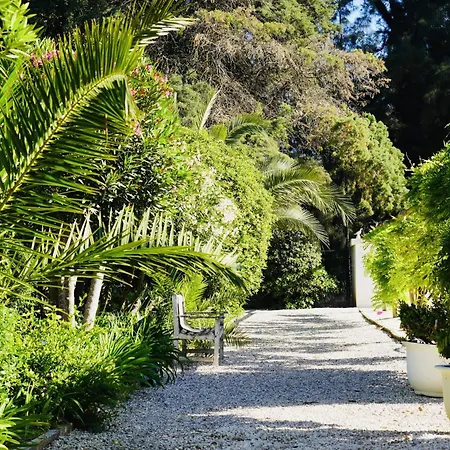 Casa Ra - Architect Edition * Alvor