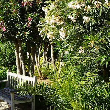 Casa Ra - Architect Edition *