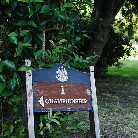 Casa Ra - Architect Edition ألفور