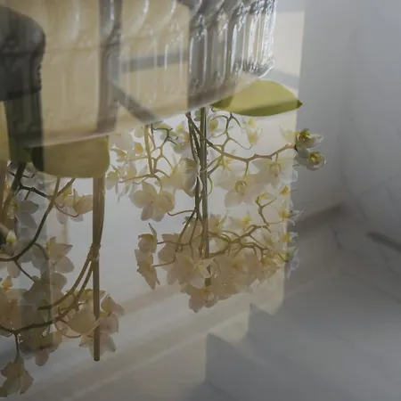 Casa Ra - Architect Edition 빌라 알보르