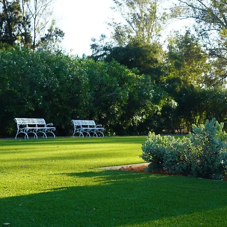 Casa Ra - Architect Edition ألفور