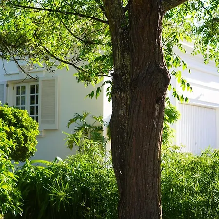 Casa Ra - Architect Edition *