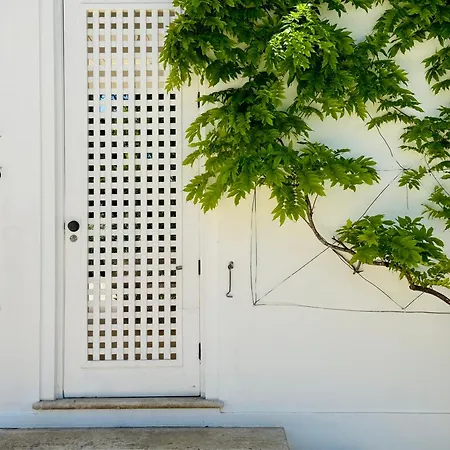 빌라 Casa Ra - Architect Edition